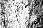Vers. 3